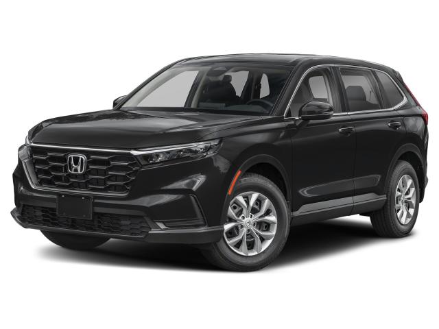 Photo of vehicle