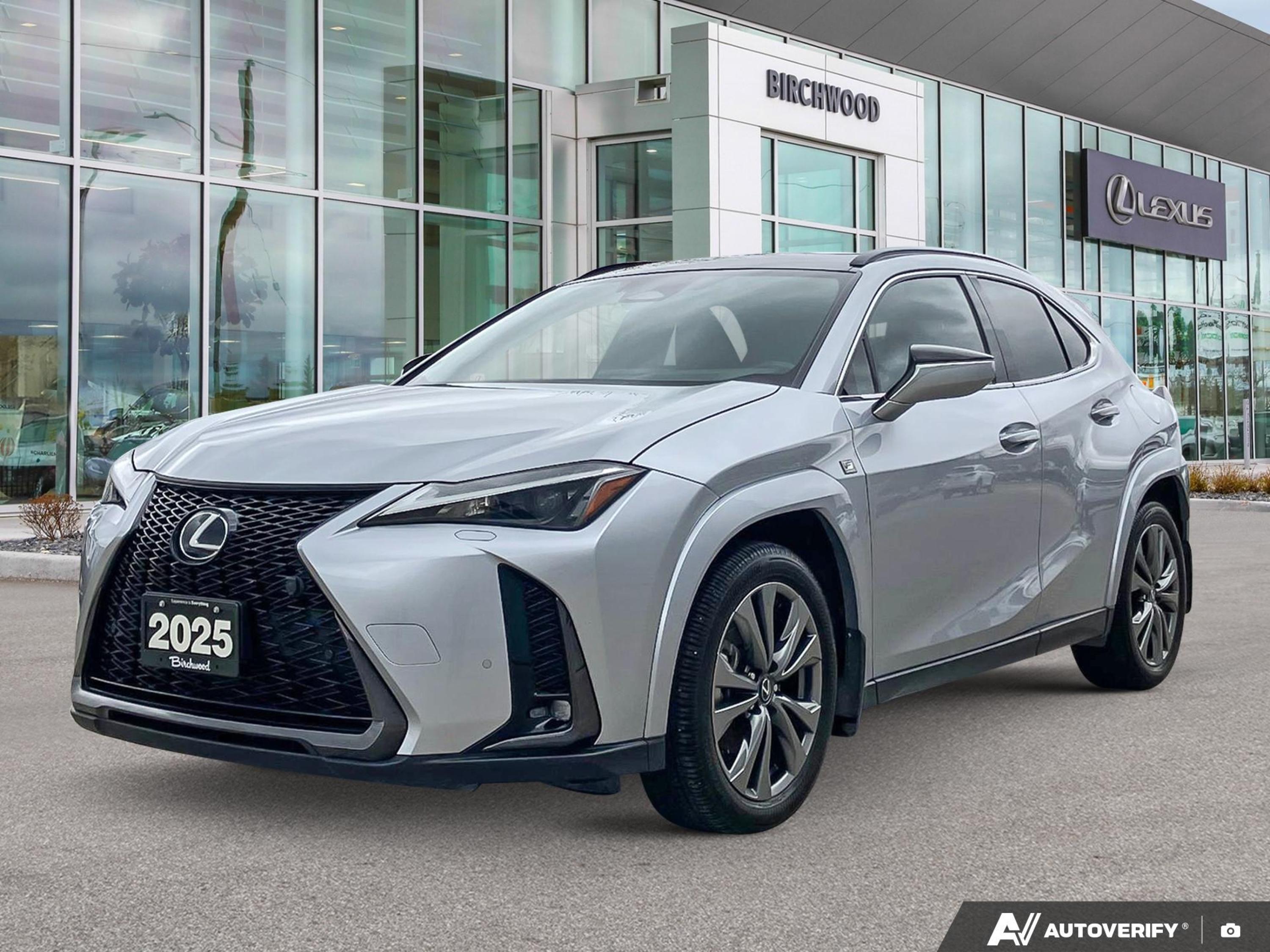 2025 Lexus UX Hybrid 300h AWD