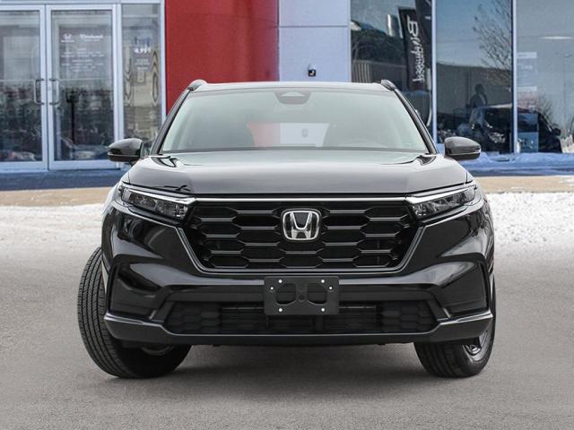 Photo of vehicle