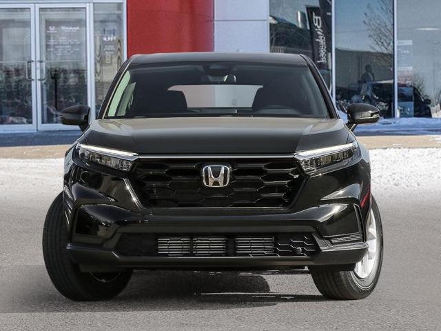 Photo of vehicle