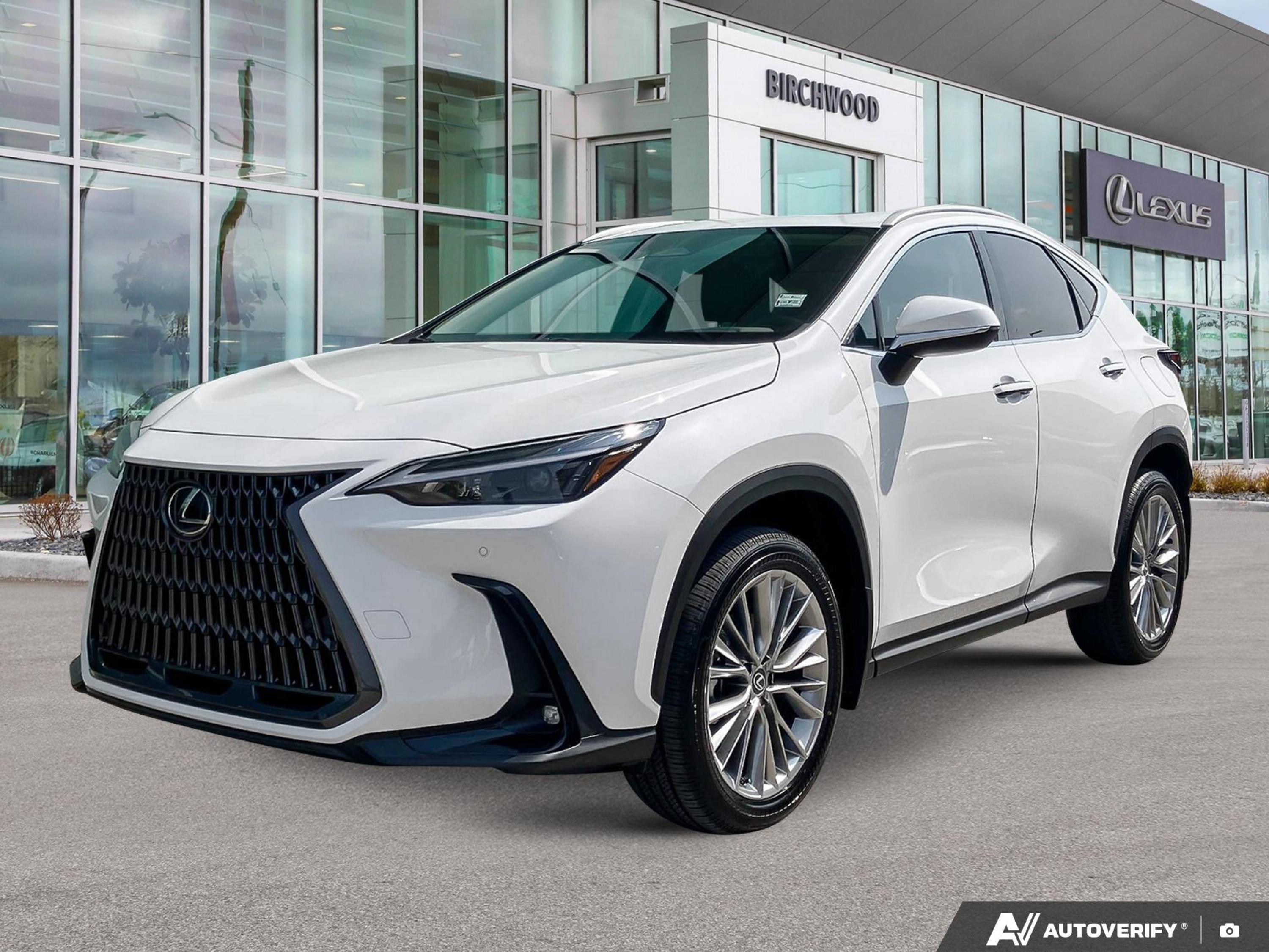 2026 Lexus NX