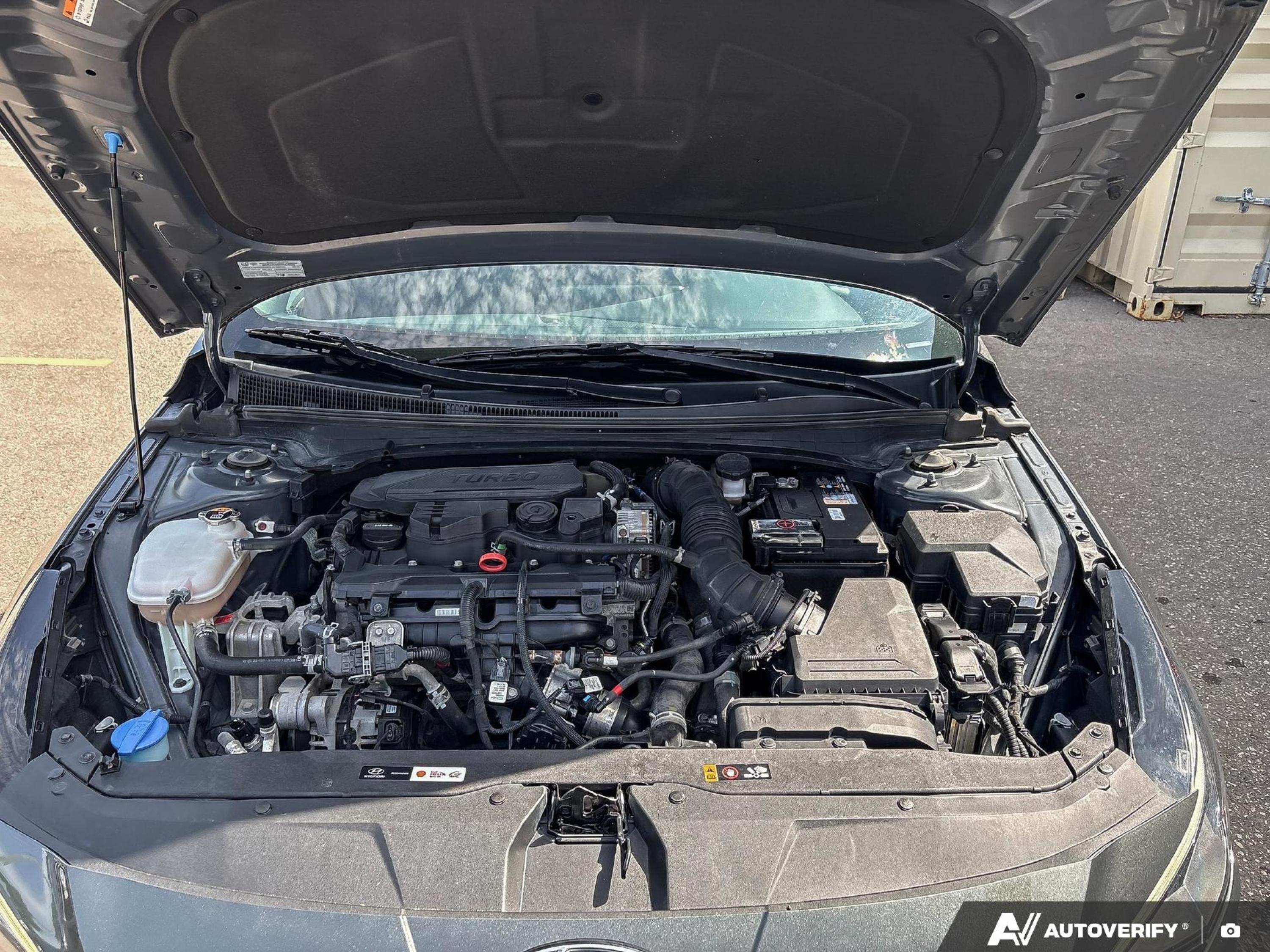 used 2023 Hyundai Elantra car, priced at $21,890