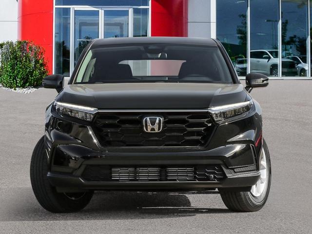 Photo of vehicle