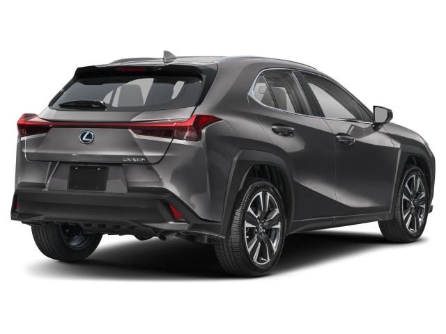 Photo of vehicle