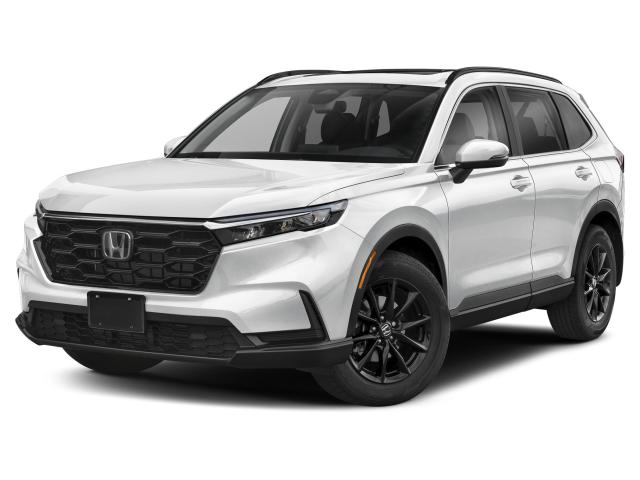 Photo of vehicle